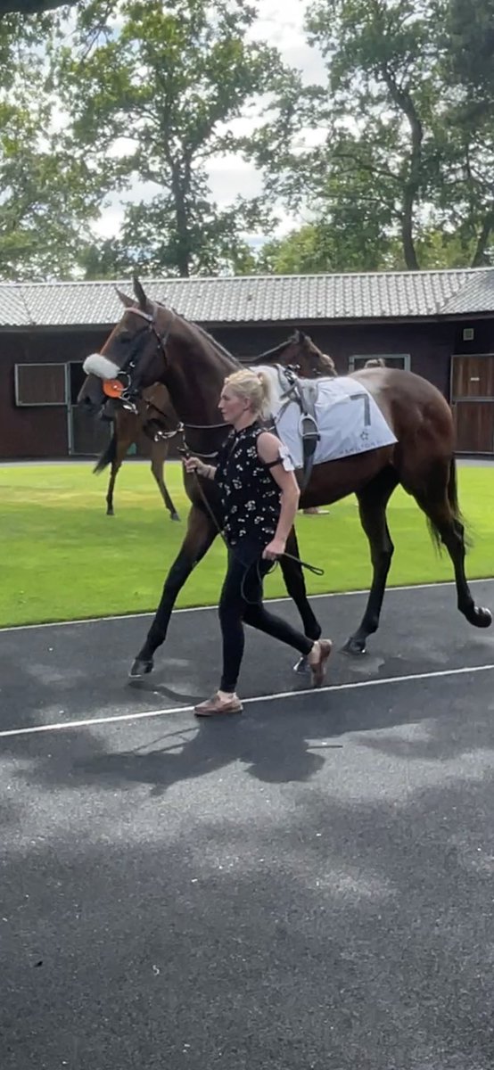 Phillip Makin (@phil_makin_) on Twitter photo Great to see Mas Rapido score on debut under <a href="/samjock22/">Sam James</a> <a href="/HamiltonParkRC/">Hamilton Park</a> ..Congrats <a href="/AOryan/">Mouse OโRyan๐</a> <a href="/BloodstockRose/">White Rose Bloodstock</a> <a href="/MickleyStud/">Mickley Stud</a> <a href="/HoStud/">Tally-Ho Stud</a> Lovely horse with a future โญ๏ธ ๐ฅ๐ Great to see Mas Rapido score on debut under <a href="/samjock22/">Sam James</a> <a href="/HamiltonParkRC/">Hamilton Park</a> ..Congrats <a href="/AOryan/">Mouse OโRyan๐</a> <a href="/BloodstockRose/">White Rose Bloodstock</a> <a href="/MickleyStud/">Mickley Stud</a> <a href="/HoStud/">Tally-Ho Stud</a> Lovely horse with a future โญ๏ธ ๐ฅ๐
