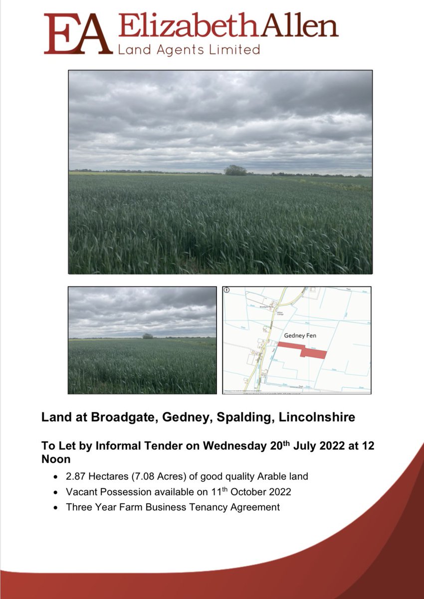 EALALimited's tweet photo. ⭐️New⭐️ To Let 7.08 acres of good quality Arable Land at Broadgate, Gedney, Lincolnshire. Tender date Wednesday 20th July 12 Noon. For more information contact us on enquiries@ealandagents.co.uk or 07852 282716 😀 #tolet #agriculturalland #landtolet https://t.co/Q3t13v7j0C