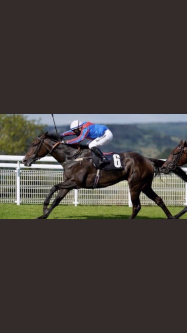 HJamesEvans's tweet photo. Croeso Cymraeg declared this evening @RiponRaces with @DougieCostello aboard for @OxstallsRacing https://t.co/GapQypuBhc