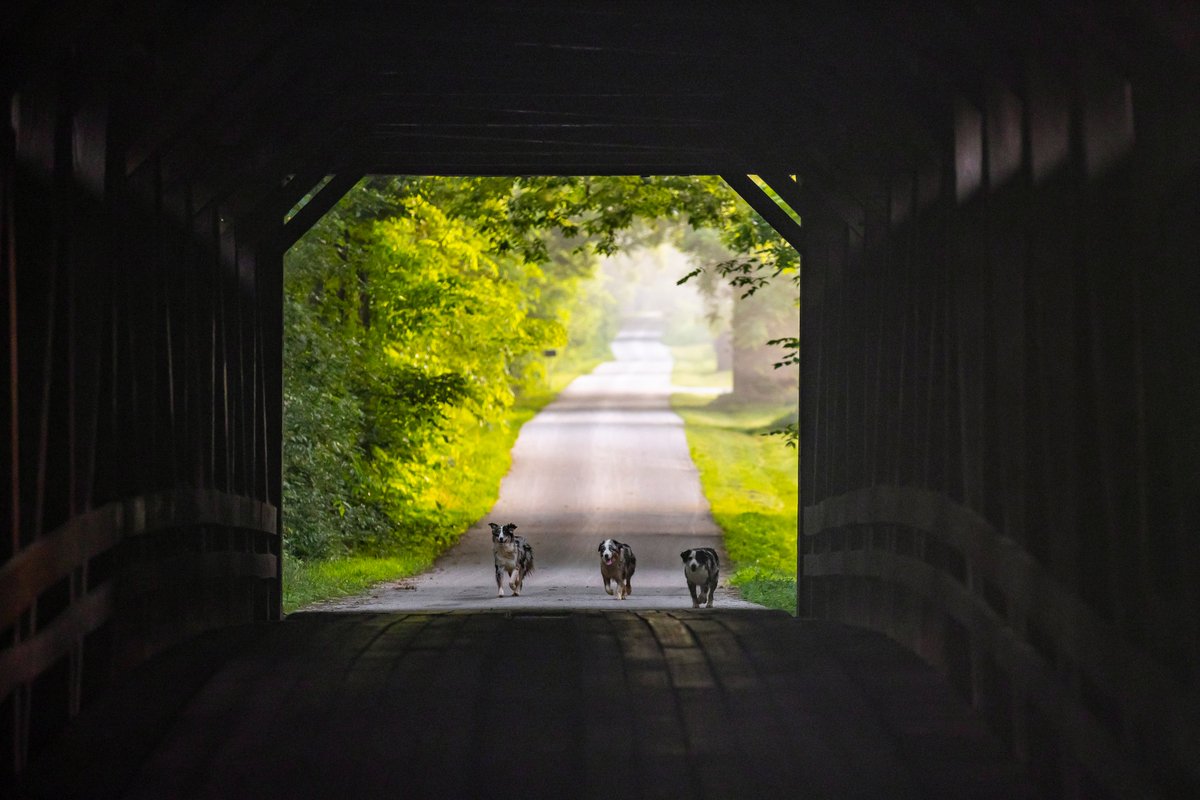 Colville Road, Bourbon County, Kentucky. <a href="/heraldleader/">Lexington Herald-Leader</a>