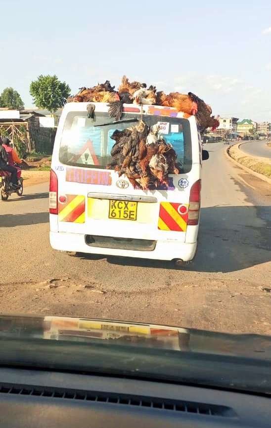 Cruelty to animals. UNACCEPTABLE. And it’s a violation of the law. Traffic officers to be tough on this level of open and blatant cruelty. It’s also an eyesore. 
This picture, courtesy of a member of the public, was taken recently to highlight discomfort at such scenes.