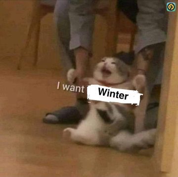 i meme it (@egymeme11) on Twitter photo 