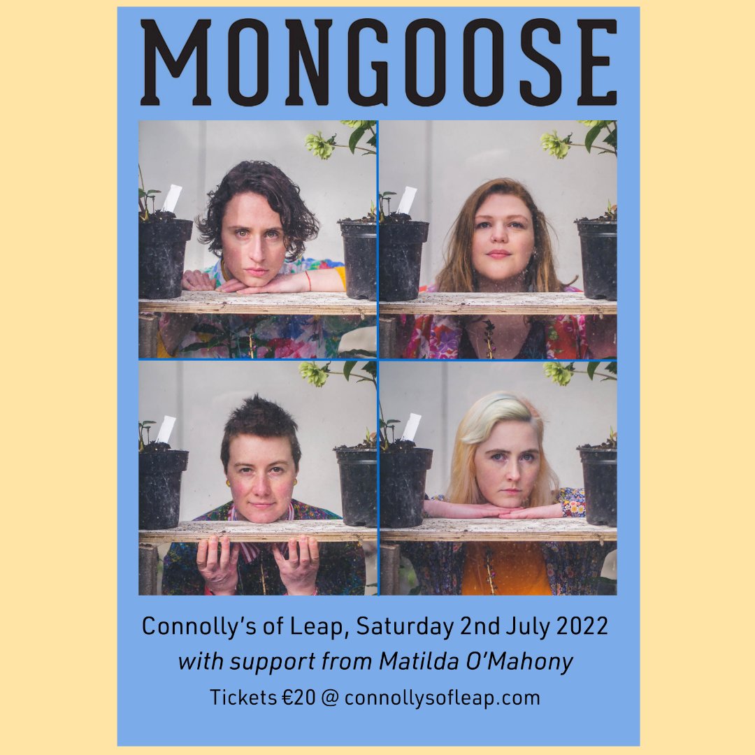 Connolly's Of Leap (@connollysofleap) on Twitter photo @mongoosetunes supported by the amazing @matildaom are coming to <a href="/connollysofleap/">Connolly's Of Leap</a> on Saturday July 2nd for a gorgeous and intimate night under the hammers!
VERY limited tickets on sale here -> connollysofleap.com/ticket/mongoos…
#livemusic #wildatlanticway #livemusicvenue @mongoosetunes supported by the amazing @matildaom are coming to <a href="/connollysofleap/">Connolly's Of Leap</a> on Saturday July 2nd for a gorgeous and intimate night under the hammers!
VERY limited tickets on sale here -> connollysofleap.com/ticket/mongoos…
#livemusic #wildatlanticway #livemusicvenue