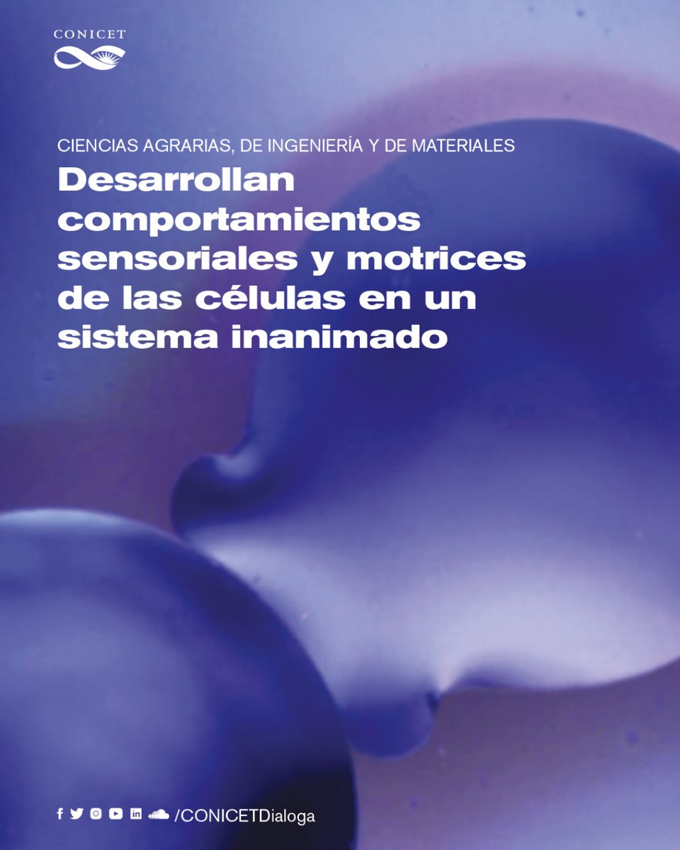 Un estudio liderado por científicos del CONICET reportó por primera vez el desarrollo de un sistema que inanimado al comienzo, evoluciona adquiriendo un movimiento autónomo y dirigido que reproduce acciones básicas de las células utilizando como combustible una reacción química⬇️