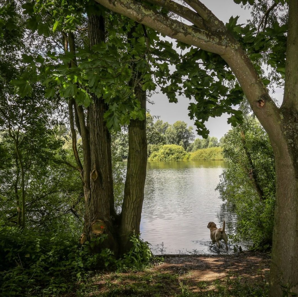 Fermynwoods (@fermynwoods) on Twitter photo This Thursday James will be taking 5 artists from around the country for a site visit for our autumn exhibition in Barnwell Country Park. Stay tuned!
<a href="/NeneFestival/">Nene Valley Festival</a> <a href="/ParksNorthants/">North Northants Country Parks</a> This Thursday James will be taking 5 artists from around the country for a site visit for our autumn exhibition in Barnwell Country Park. Stay tuned!
<a href="/NeneFestival/">Nene Valley Festival</a> <a href="/ParksNorthants/">North Northants Country Parks</a>