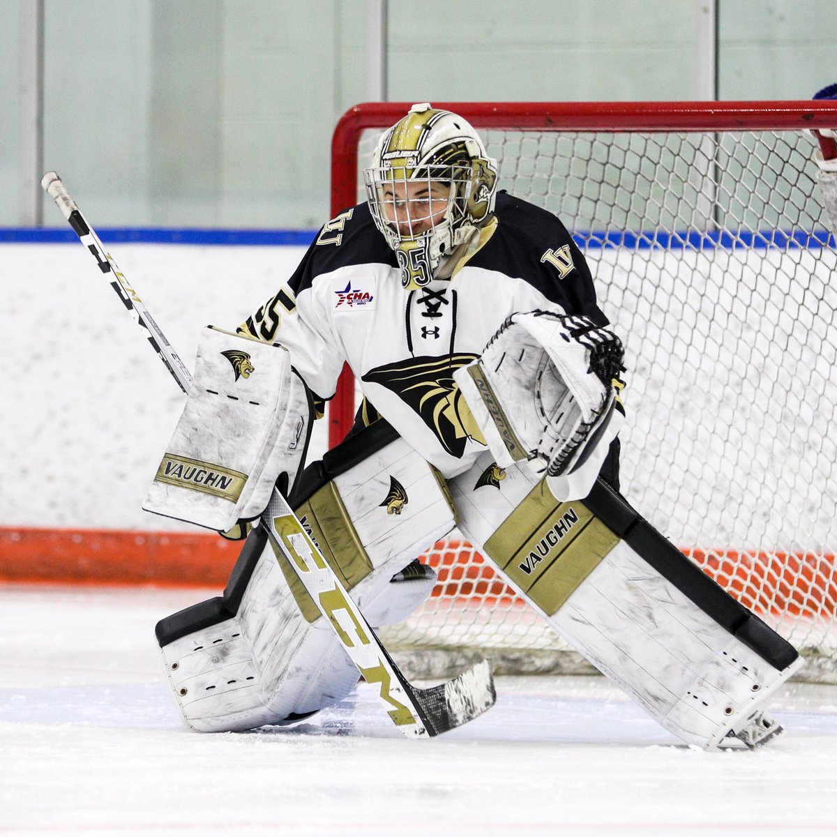 CHAWomensHockey's tweet photo. Natalie Ferenc led all Lindenwood goaltenders in wins, save percentage and goals-against average in 2021-22.
#CHA20 | #ReturningStars https://t.co/7Yo0Ujuhvw