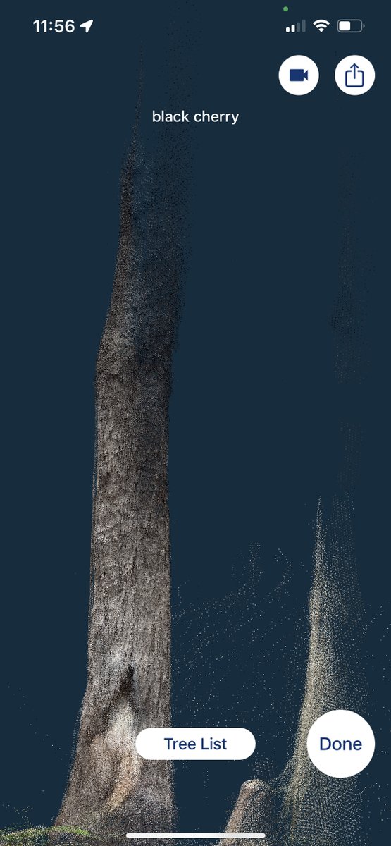 ajtrant's tweet photo. Hey #ScienceTwitter: Has anyone used the lidar sensor on iphones/ipads w/apps like #ForestScanner or @Scaniverse for getting tree/shrub biomass estimates? Hoping to export point clouds for analysis but not having much luck. https://t.co/Wy8GIwsGFP