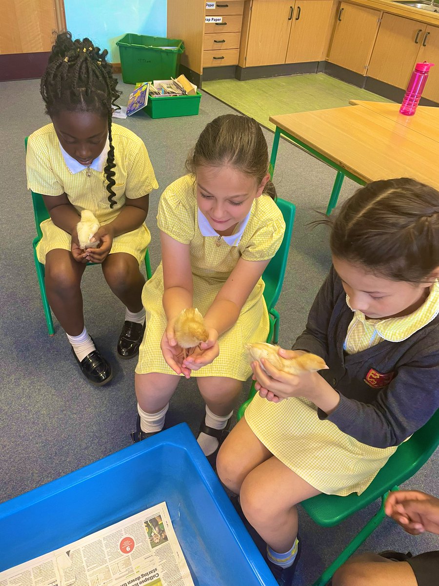 StChads_Croydon's tweet photo. St Andrew class enjoying #ChadsChicks ๐ฅ https://t.co/TR4H8jVPZX