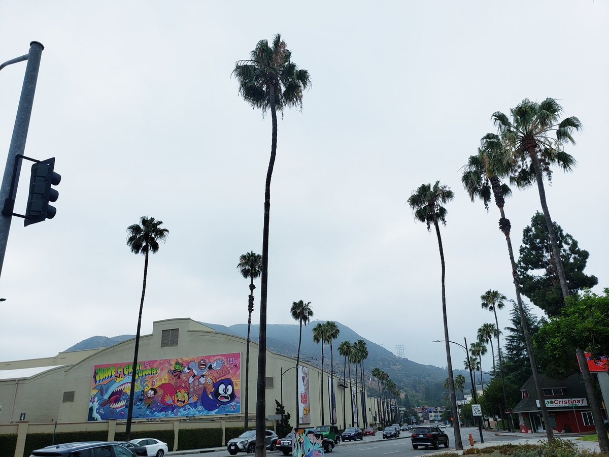 Lisa Ortiz🇵🇷 Ig: @lisacultjelly tweet media