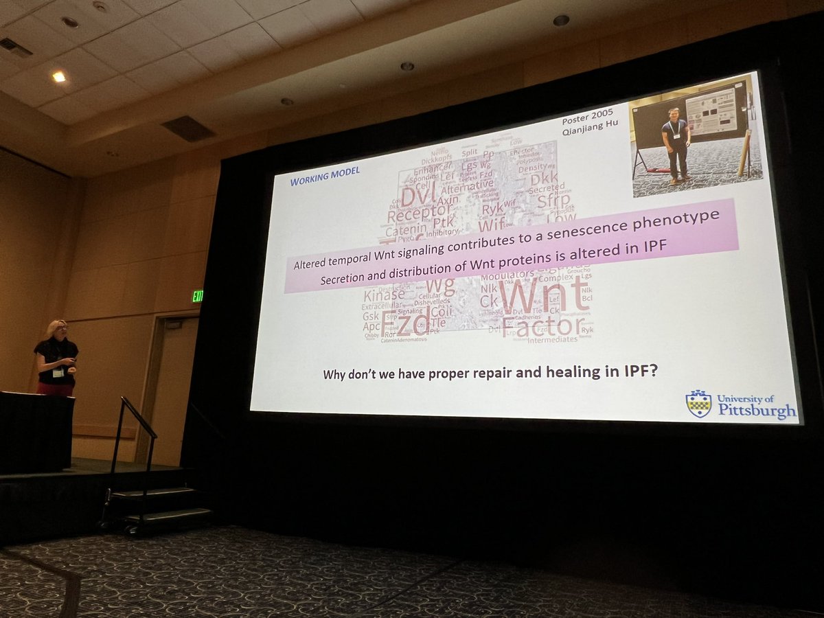 Qianjiang_Hu's tweet photo. Quite enjoyable to listen my mentor Dr. Königshoff talking about epithelial cell reprogramming in pulmonary fibrosis @KeystoneSymp #KSTissueRepair. https://t.co/HveLL7HqBc