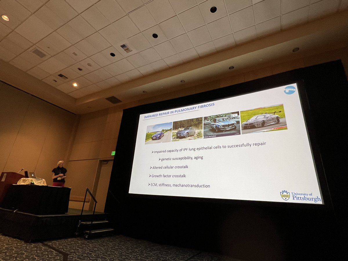 Qianjiang_Hu's tweet photo. Quite enjoyable to listen my mentor Dr. Königshoff talking about epithelial cell reprogramming in pulmonary fibrosis @KeystoneSymp #KSTissueRepair. https://t.co/HveLL7HqBc