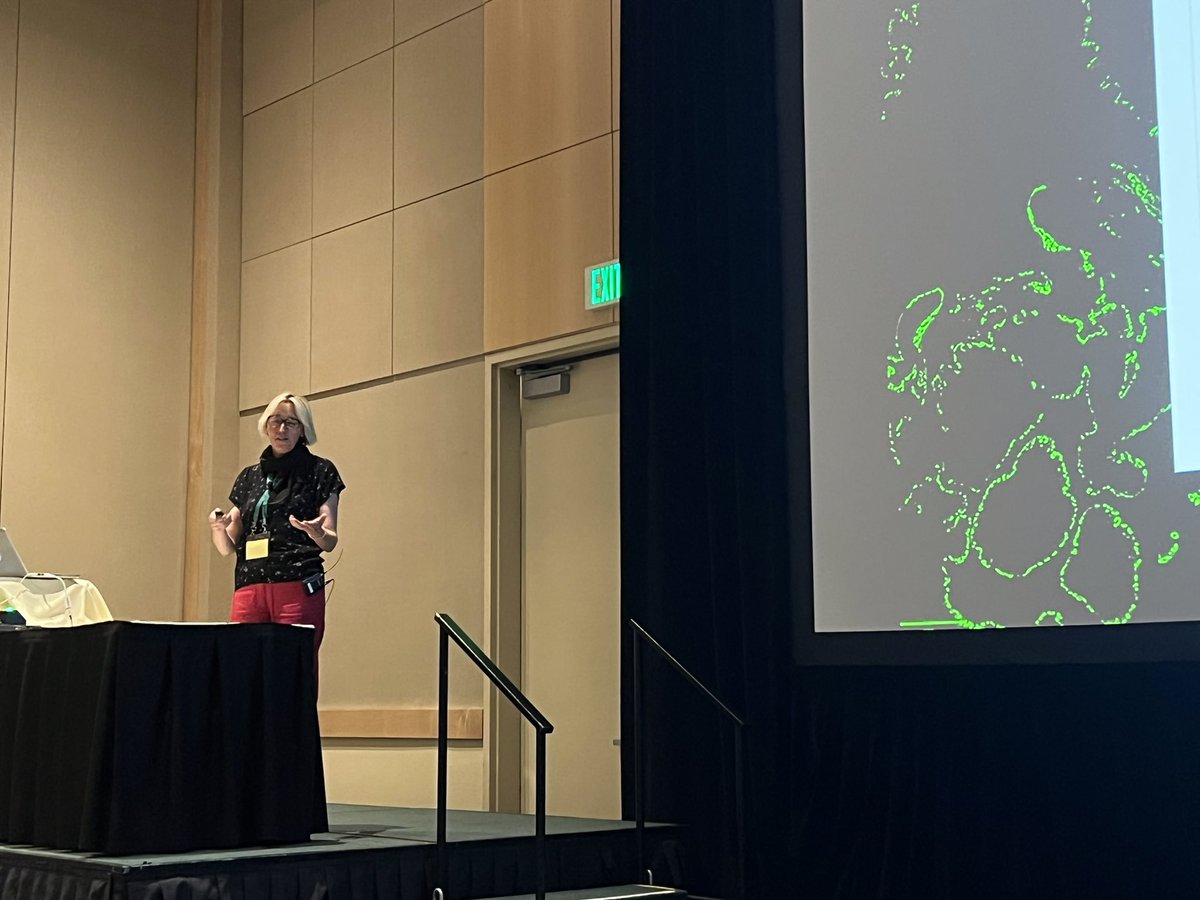 Qianjiang_Hu's tweet photo. Quite enjoyable to listen my mentor Dr. Königshoff talking about epithelial cell reprogramming in pulmonary fibrosis @KeystoneSymp #KSTissueRepair. https://t.co/HveLL7HqBc