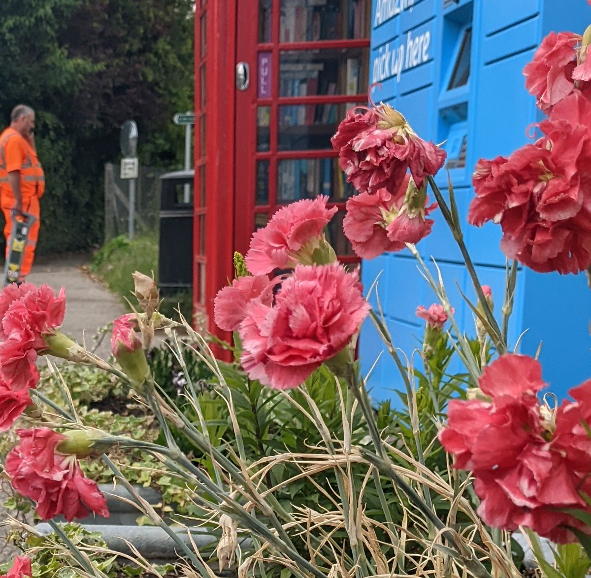 ESSCRP_'s tweet photo. North Fambridge station community library is in their decommissioned phone box.   A joint project with the men's shed, the parish council and ESSCRP. 

#phonebox #liabrary #community #communitynetworkrail https://t.co/4ChLvBPe3s