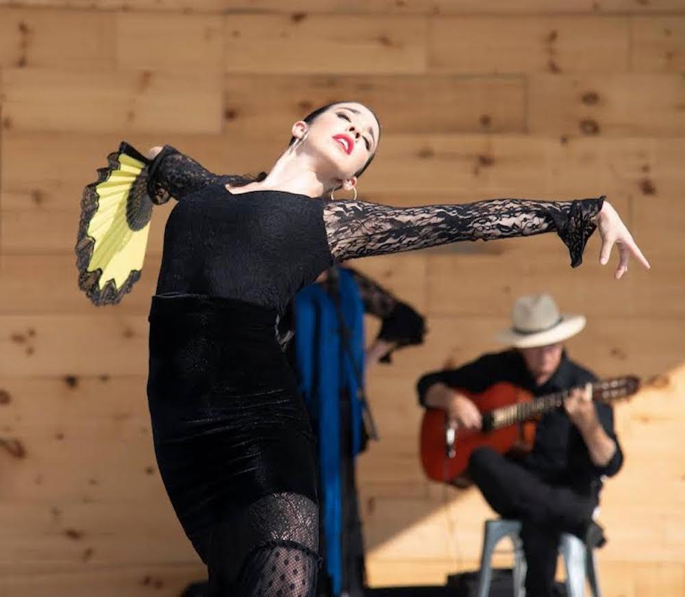 dance_ontario's tweet photo. 30 days left until #DanceWeekend22!

For today’s countdown we are featuring @ritmotoronto!

Ritmo Flemenco will be presenting excerpts from their acclaimed work, "Vida Flamenca – A Way of Life" Read more here: https://t.co/uMG3wkvveG

#ComeDanceWithUs
Photo by: Michael Lindon https://t.co/b8njwffM68