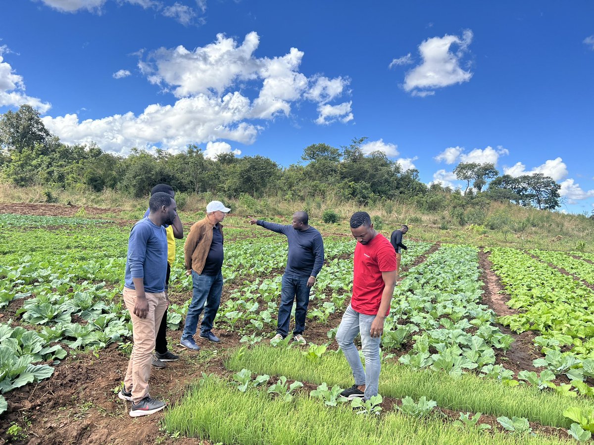 Smith_chauque's tweet photo. @CDD_Moz &amp; NANA are implementing the a project titled PVP4ll which is financed by @Oxfammoz. This initiative scrubs away preconceptions about how far out potential can take us as a nation from bridging development gaps to restoring national sovereignty and pride sustainably. https://t.co/lcCuN7FGEn