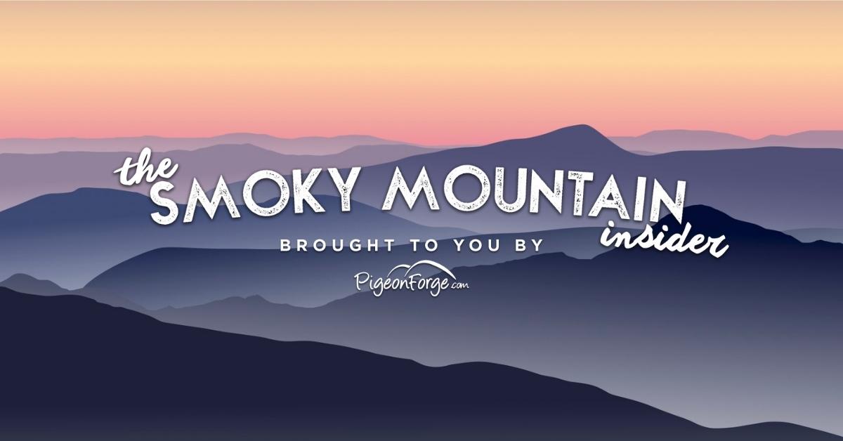 Top Things To Do On a Hot Day - mailchi.mp/pigeonforge/wi…