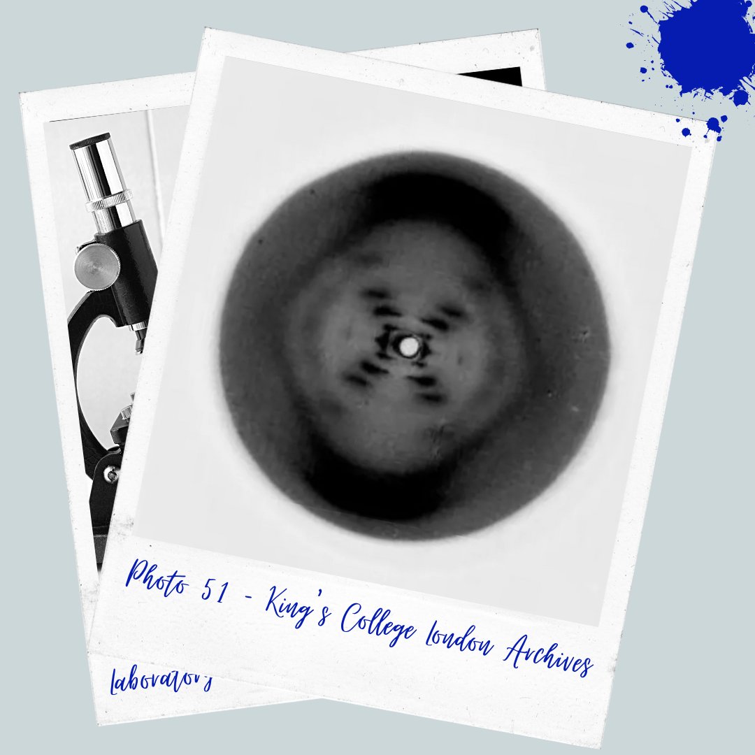 GenomeBC's tweet photo. Who took this photo? What is it? How did it change the world? 

Join host @kaylee_byers &amp; guest @heysciencesam as they chat girl boss Rosalind Franklin, Jurassic Park, Christmas (Island) rats &amp; brains.

Find Nice Genes! wherever you get your podcasts or: https://t.co/OOcKC8ULvm https://t.co/XkYrs6IN4E
