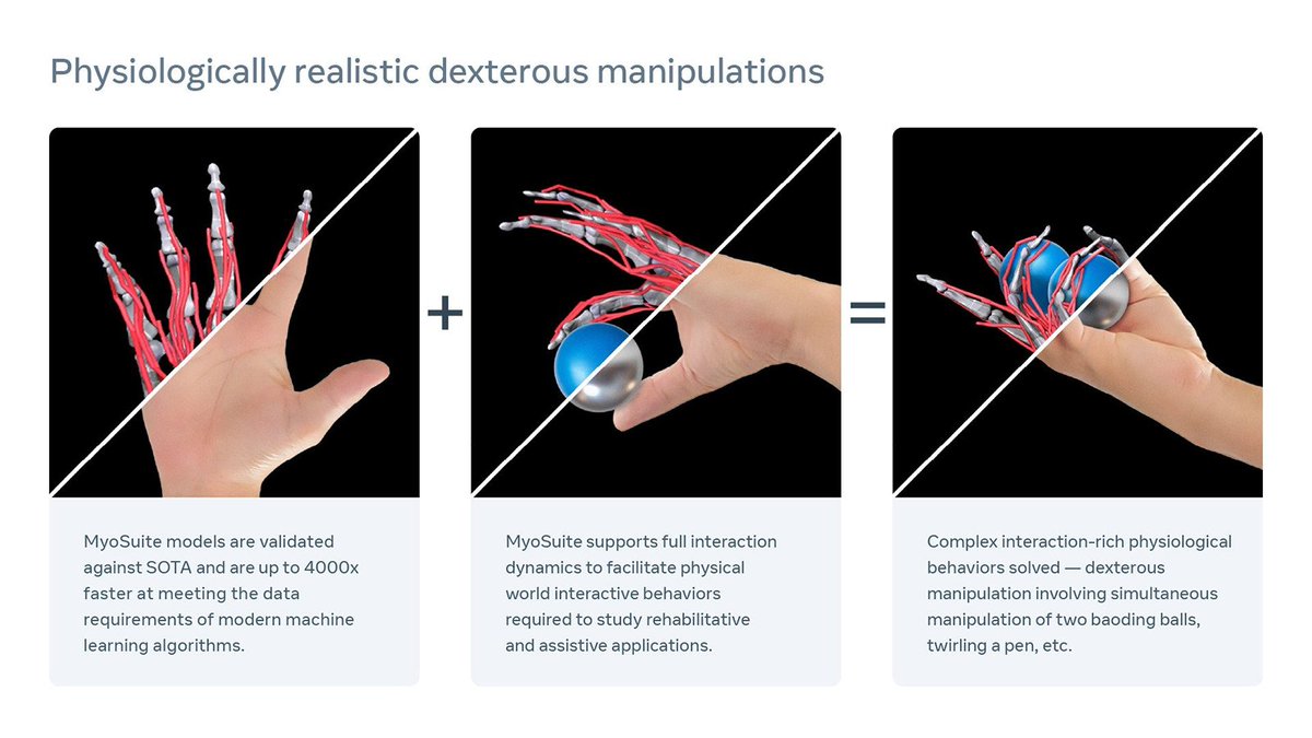 MetaforDevs's tweet photo. Meet MyoSuite, an #AI platform made in collaboration with @MetaAI and @UTwente that unifies neural and motor intelligence using machine learning. This model can twirl a pen, turn a key and perform other complex motor control behaviors. 
Find out more: https://t.co/up6uuPze7O https://t.co/kejZp12w47