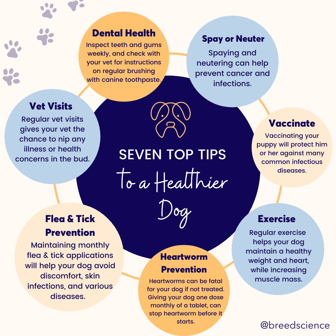 breedscience's tweet image. Here at Breed Science, we&apos;re on a mission to help dogs live longer. There are things every dog parent can do to ensure our pups live a long, happy, healthy life. 🐾

Here are 7 tips to help any dog feel happier and healthier! 🐶 
#breedscience #tipguide