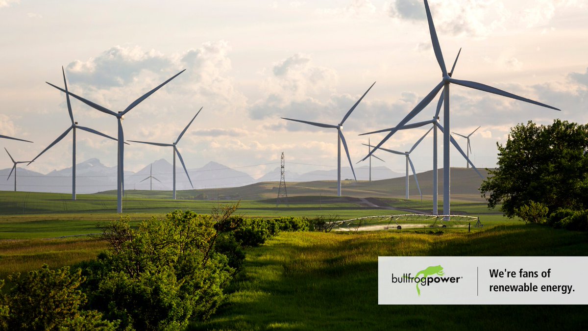 Payworks's tweet photo. Wind energy? We’re a fan!
According to our friends @bullfrogpower, there are 317 wind farms operating in Canada.
Happy #GlobalWindDay!
#BullfrogPower #Renewable #Sustainability #EcoFriendly #GoGreen #Business #GreenEngery https://t.co/8z55adAM5B