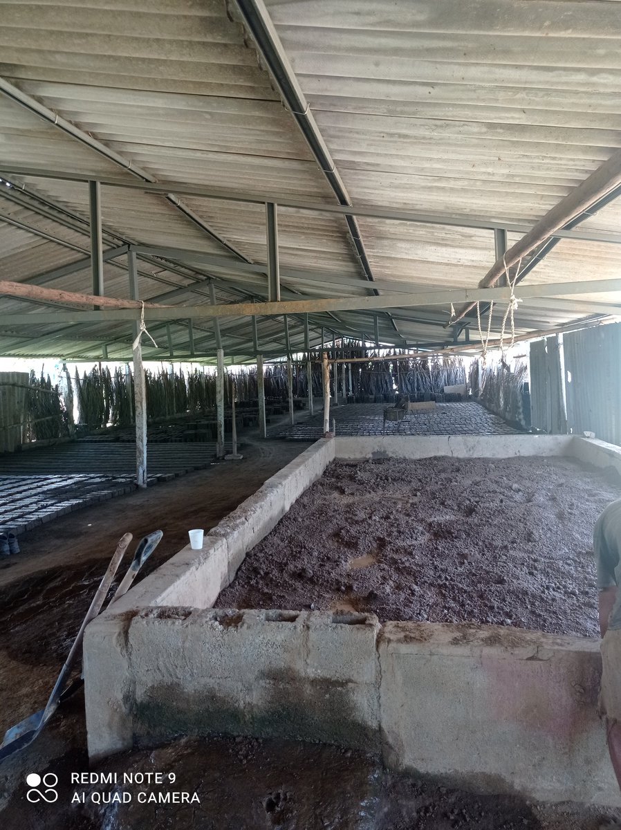 IgmaraR's tweet photo. #Guantanamo ,Interesante intercambio los miembros de la Mipyme  Cerámica Casiguaya de Baracoa,  integrada por 17 trabajadores dedicados a la producción de  materiales de la construcción trabajos de jardinería, paisajistico, artesanal y tejas francesas #CubaVive @UlisesGuilarte https://t.co/2OC2TUxZKY