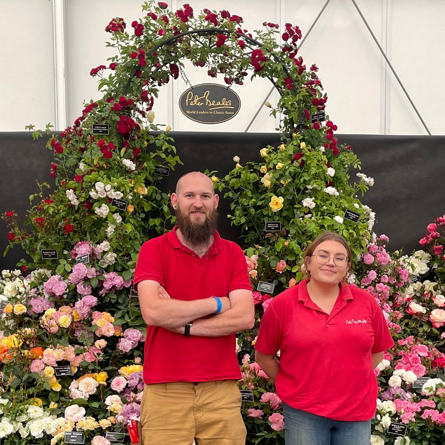 This week we are at BBC Gardeners' World Live which opens tomorrow at the Birmingham NEC. If you are visiting the show, then we would love for you to come and see us!
#BBCGWLive #GardenersWorld #Roses #Rose #BBCGardenersWorldLive #Gardening #Plants