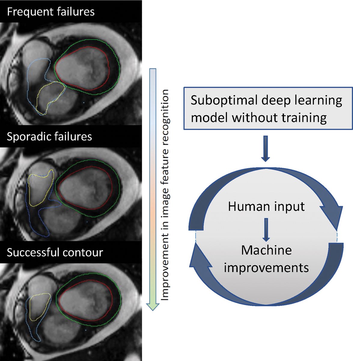 Radiology tweet media