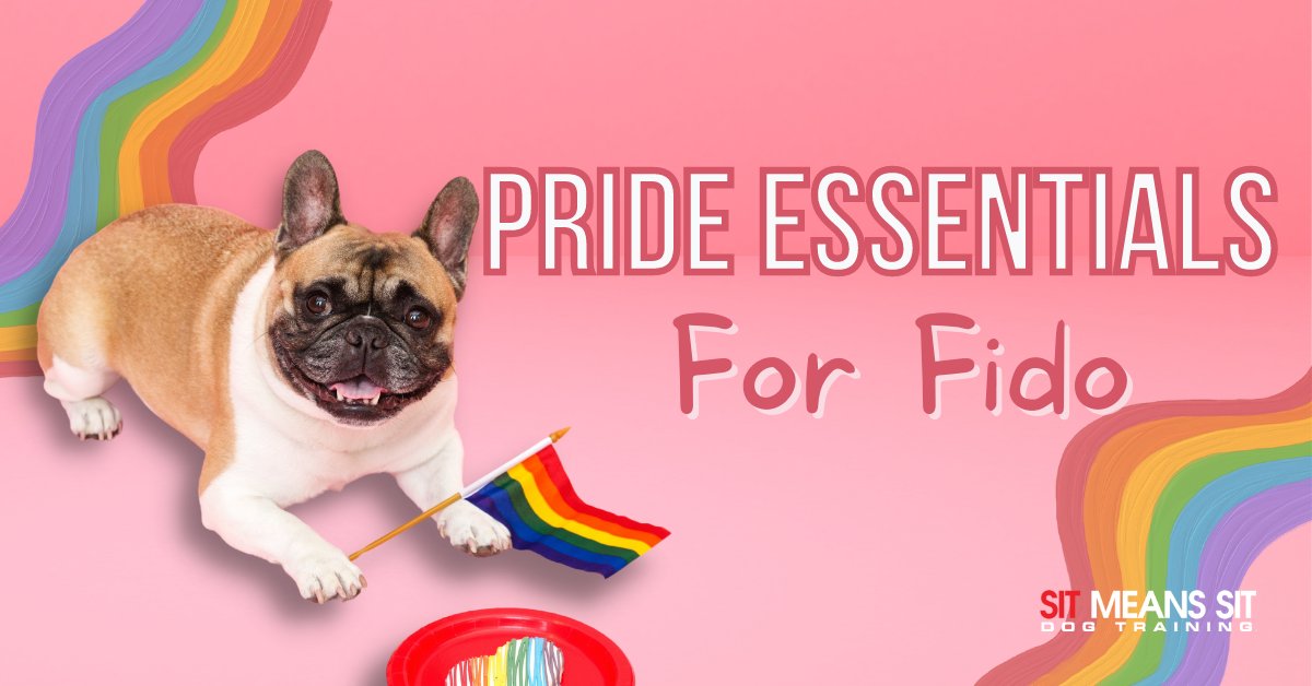 smsswlv's tweet photo. Pride Essentials Made for Fido | https://t.co/0HiWpsHwcl https://t.co/UJzdf4E32m