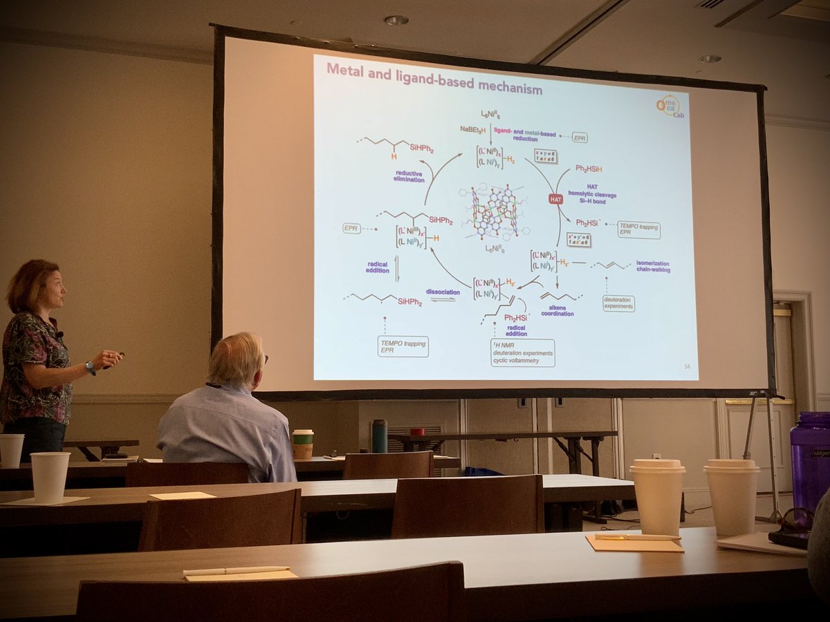 Blanchard_Lab's tweet photo. @marinedem7 @OmecaLab and Nicholas Meanwell @bmsnews are closing this morning session. Great lectures on redox chemistry and HIV inhibitors at #FACSXVIII @FrenchAmChemSoc https://t.co/YdV1LdpFf0