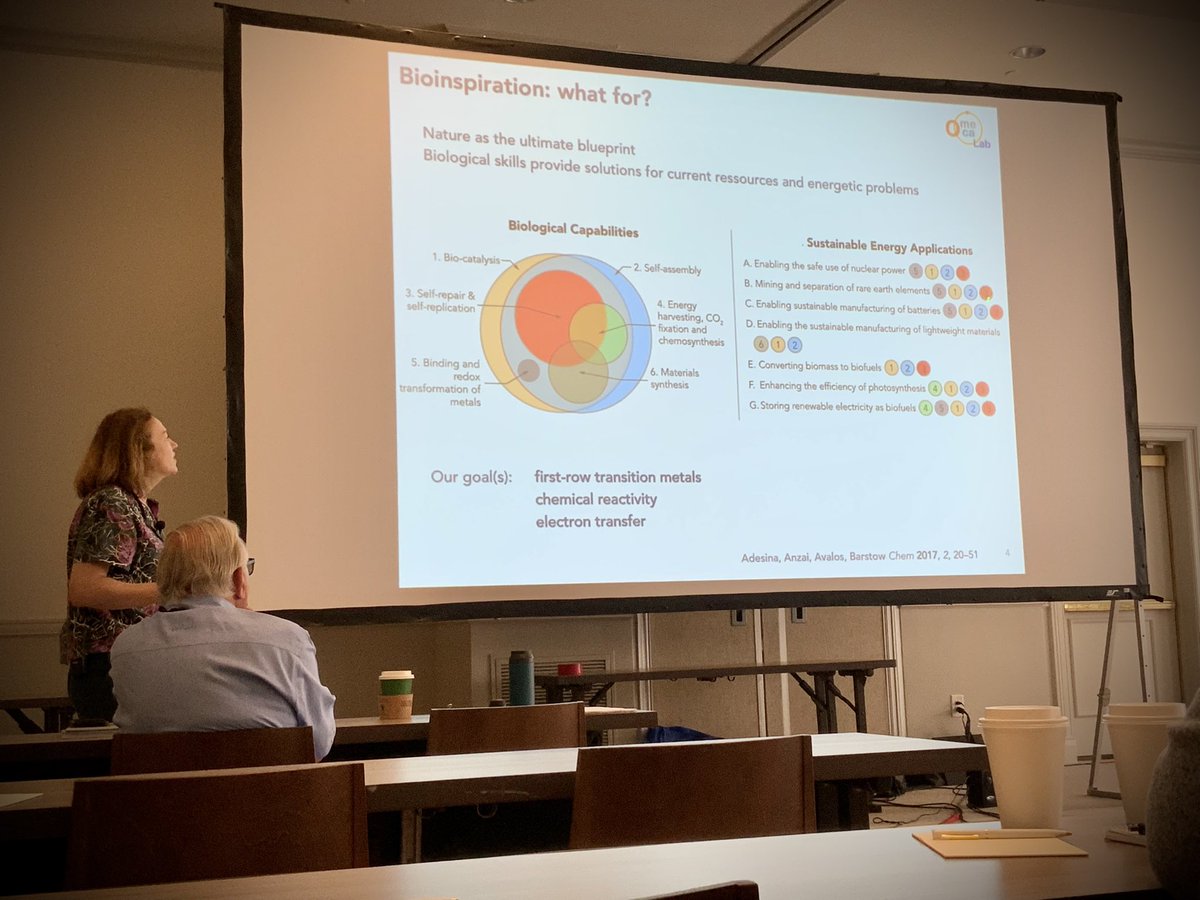 Blanchard_Lab's tweet photo. @marinedem7 @OmecaLab and Nicholas Meanwell @bmsnews are closing this morning session. Great lectures on redox chemistry and HIV inhibitors at #FACSXVIII @FrenchAmChemSoc https://t.co/YdV1LdpFf0