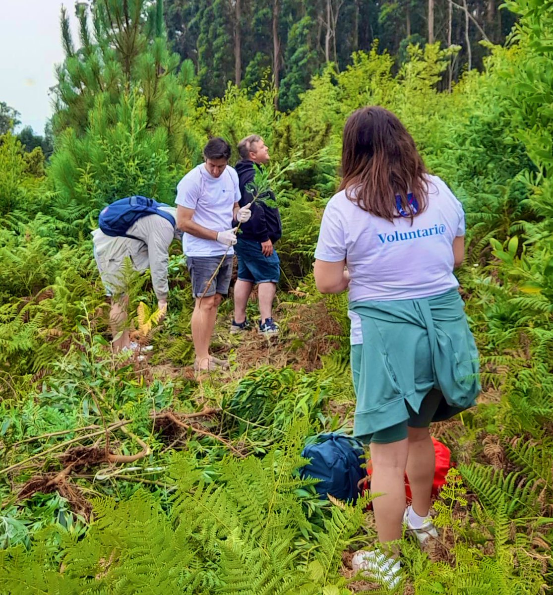 Maravillosa jornada hoy con los #voluntariosAXA de la territorial oeste en las #IslasCíes 💙

Hemos estado retirando plantas invasoras de este entorno privilegiado 🌊

¡Gracias por participar, ha sido muy gratificante! 😊