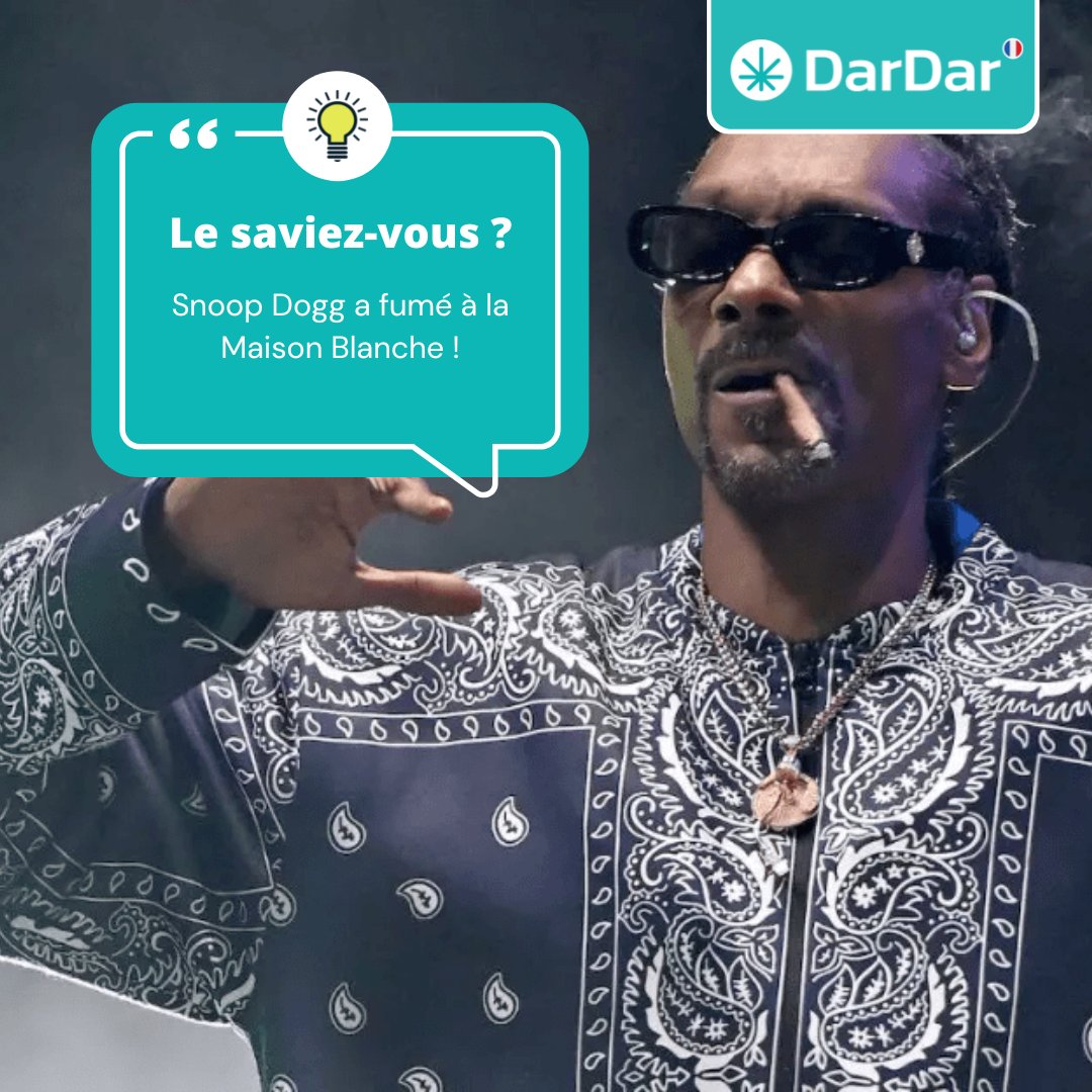 dardar_io_fr's tweet photo. Le rappeur américain a confié dans une
interview avoir fumé dans les toilettes de la Maison
Blanche, en pleine réception !😲
Découvrez #Barcelone avec DarDar ➡
https://t.co/n0JbPPpqPp
#snoopdog #annecdote #hollywood #rap #weed #cannabiscommunity #cannabisfrance #cannabis #hemp https://t.co/YTzpRFAVUa