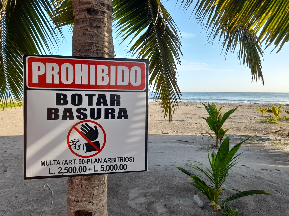 CaribeCircular's tweet photo. El municipio de #Omoa en Honduras busca prevenir los residuos plásticos en sus costas e impulsar la economía circular. 👏🏻♻️

 #CaribeCircular #CCADSICA #GIZ #UniónEuropea #BmzBund #SemaQRoo #Honduras https://t.co/fdwUggp3jf