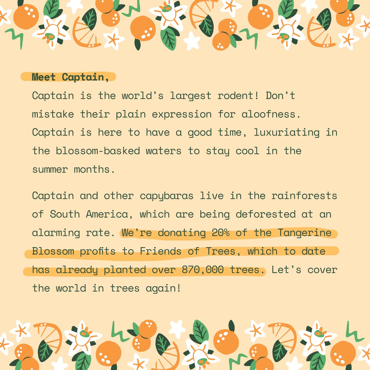 Aura Bora (@drinkaurabora) on Twitter photo we need trees! now more than ever.
our limited edition flavors are always tied to an environmental cause — this time, we're donating 20% of sales from Tangerine Blossom sales to <a href="/FriendsofTrees/">Friends of Trees 🌳</a> 🌳🌳 we need trees! now more than ever.
our limited edition flavors are always tied to an environmental cause — this time, we're donating 20% of sales from Tangerine Blossom sales to <a href="/FriendsofTrees/">Friends of Trees 🌳</a> 🌳🌳