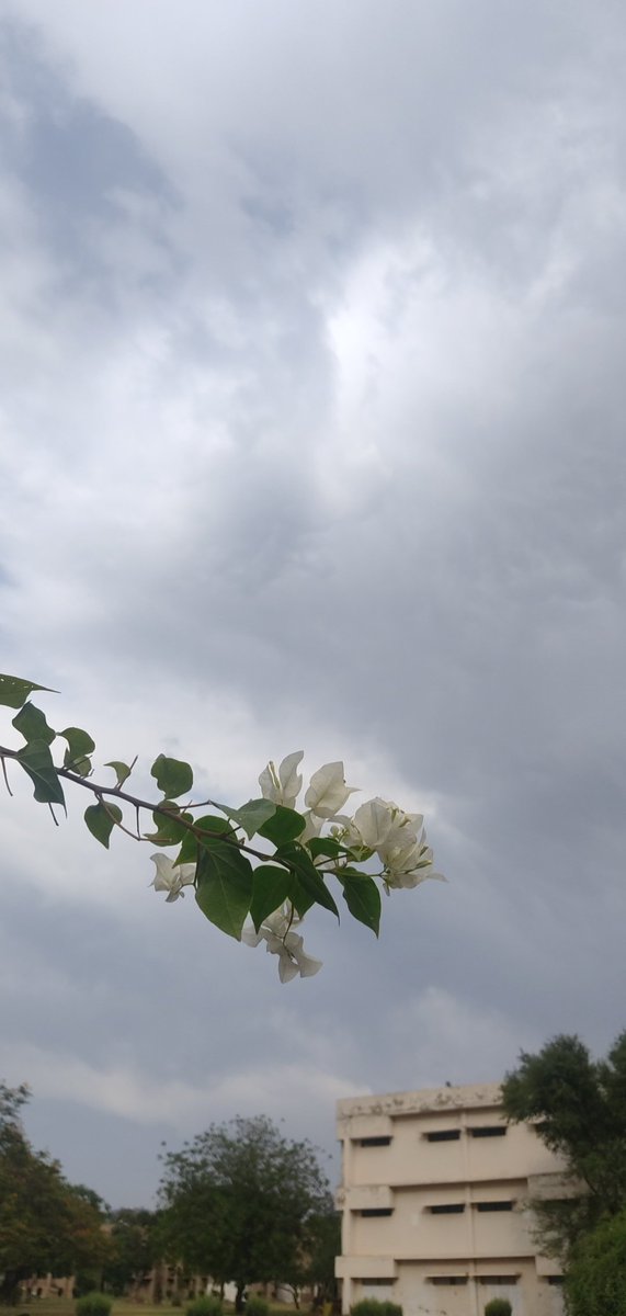 BushraAmbrin's tweet photo. Ibn al-Jawzī رحمه الله: 

“Endure the nights of hardship because if you look through the eye of patience you shall see the dawn of reward. Indeed the lofty ranks can be attained only by undergoing hardship! Did you not notice the thorns growing beside the roses?” https://t.co/lTq4z6LAER