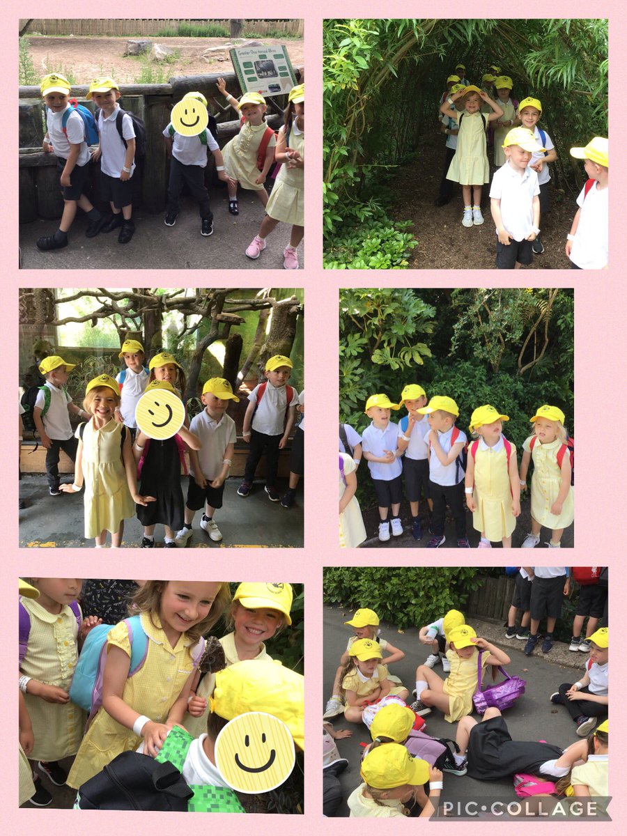 MissHinton21's tweet photo. We had such a fantastic day! https://t.co/8unFd7Ngft