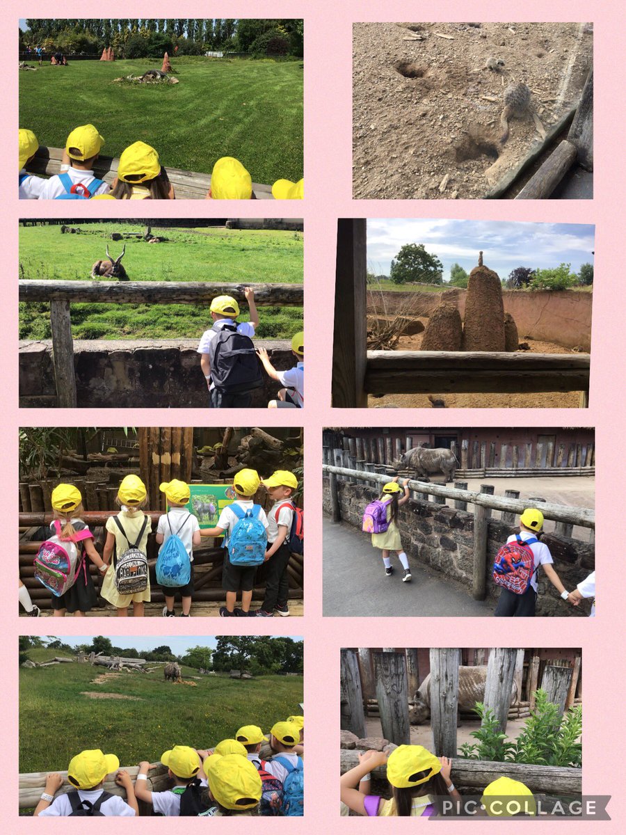 MissHinton21's tweet photo. We had such a fantastic day! https://t.co/8unFd7Ngft