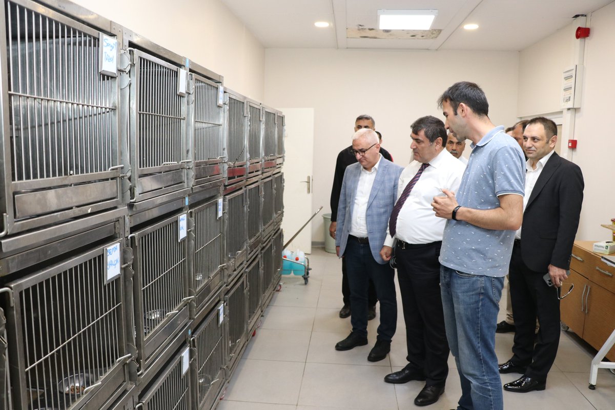 tcsultanbeyli's tweet photo. Kaymakamımız Kemal ŞAHİN ve Belediye Başkan Yardımcımız Sayın Zafer SÖĞÜTCÜ, Sultanbeyli Belediyesi bünyesinde minik dostlarımızın bakım ve tedavileri için hizmet veren 📍Sevimli Patiler Kliniği'ni" ziyaret etti. https://t.co/mzJBuxA75w
