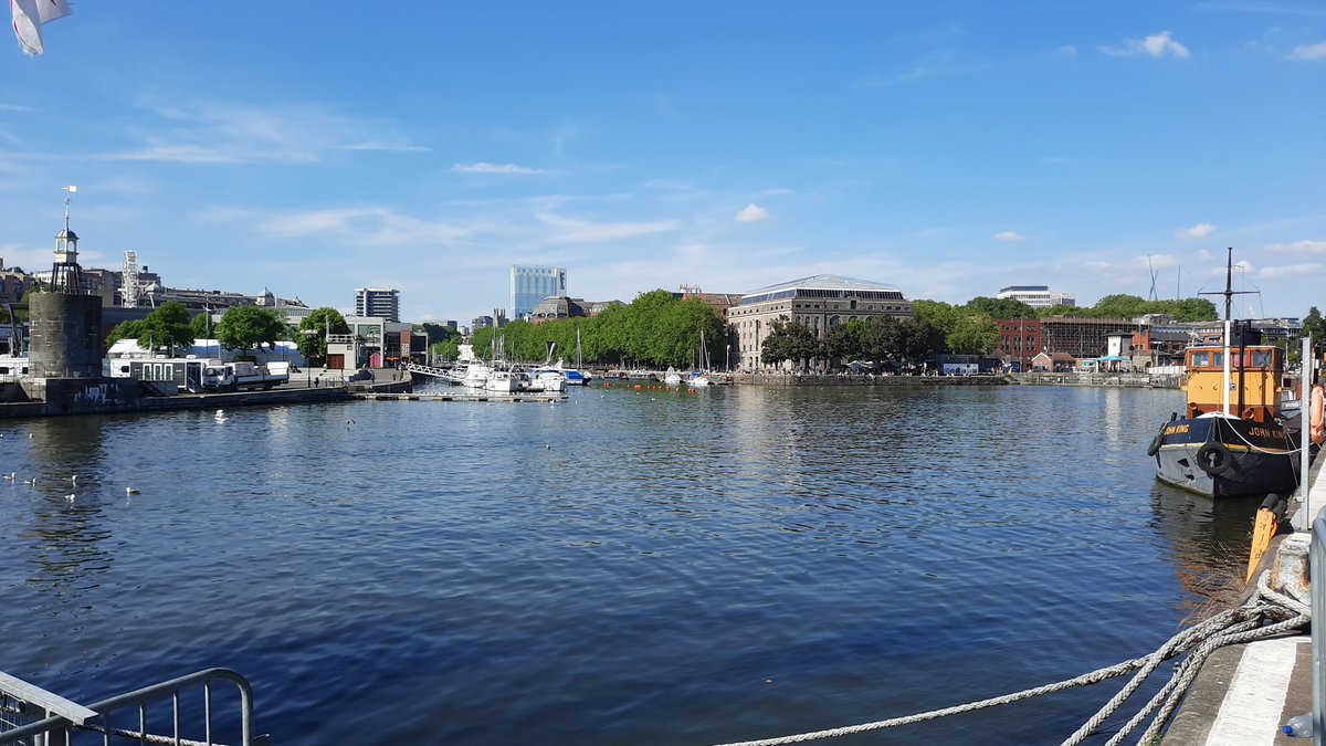 Dani Holbrook tweet media