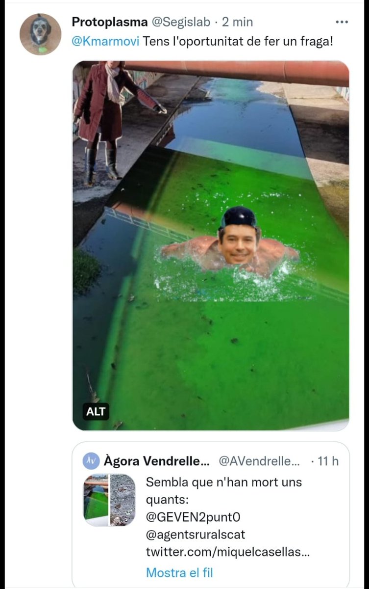 la_llesca's tweet photo. Anàvem a fer un meme sobre el tema però ens hem trobat aquest que de @Segislab que ens ha encantat 😂 #ElVendrell #elvendrellturistic #elvendrellcomerç #elvendrelloci #elvendrellavança #elvendrellquevolem #optimismeperavançar https://t.co/4Ch7fmJCIt