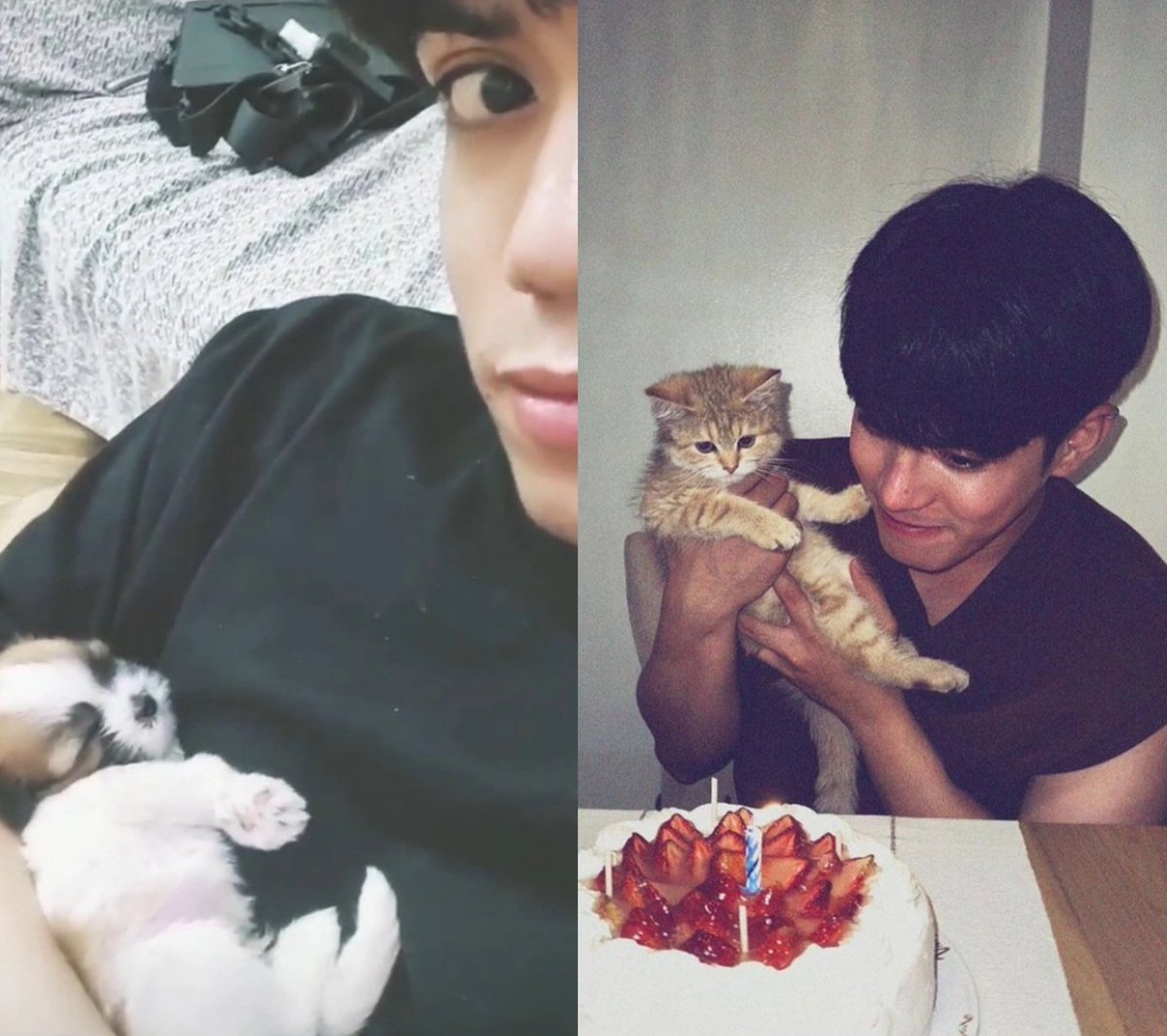 urlovekeun's tweet photo. #HappySB19StellDay #SeaSTELLDay 

stell's birthday                 stell's birthday
(2021) gimo:                     (2022) olenna: https://t.co/rVxIucQv9Y