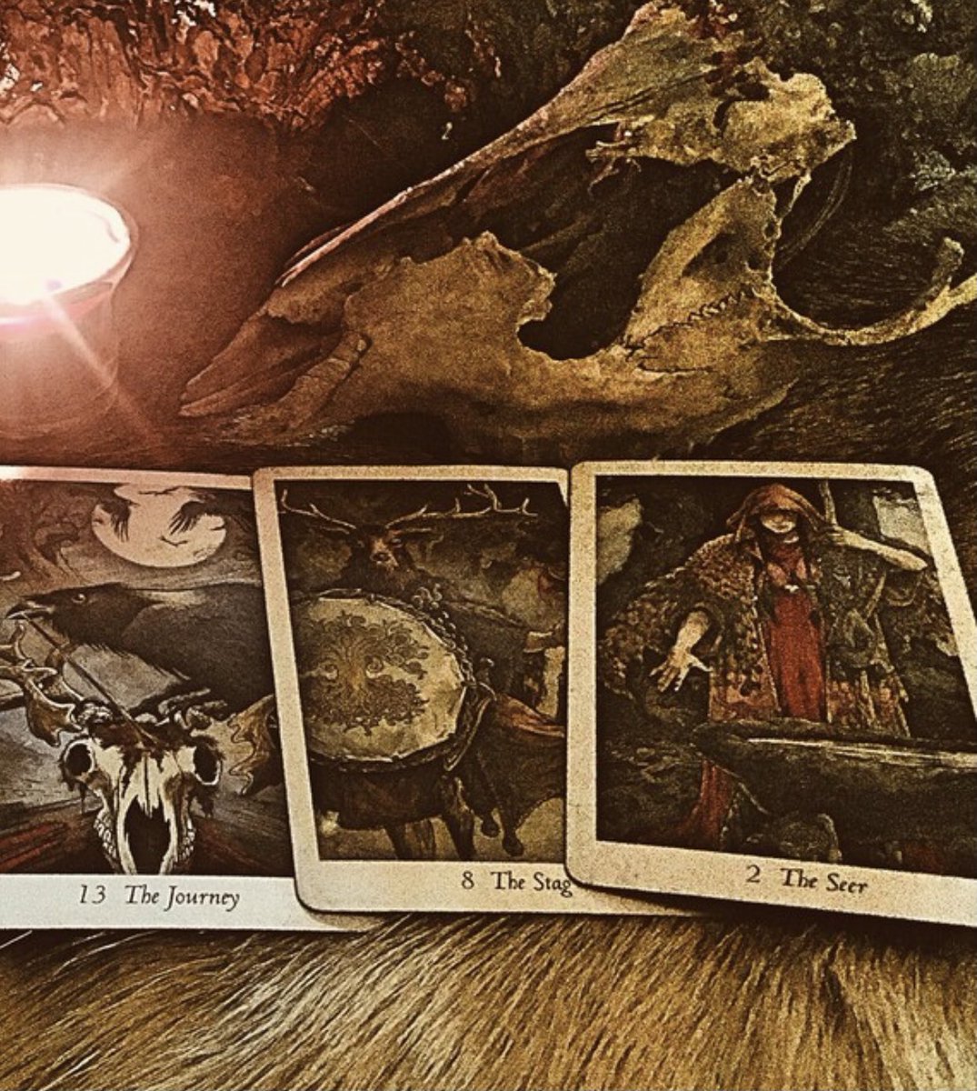 witchravenwood's tweet photo. Good day of Mercury all. I spent an enchanting full moon last night out the wood. Listening to the coyotes and wolves call to the moon as I sat under her glow doing a shamanic reading. https://t.co/ctWYmvIVi8 #forestmage https://t.co/9MoOTqxjFO