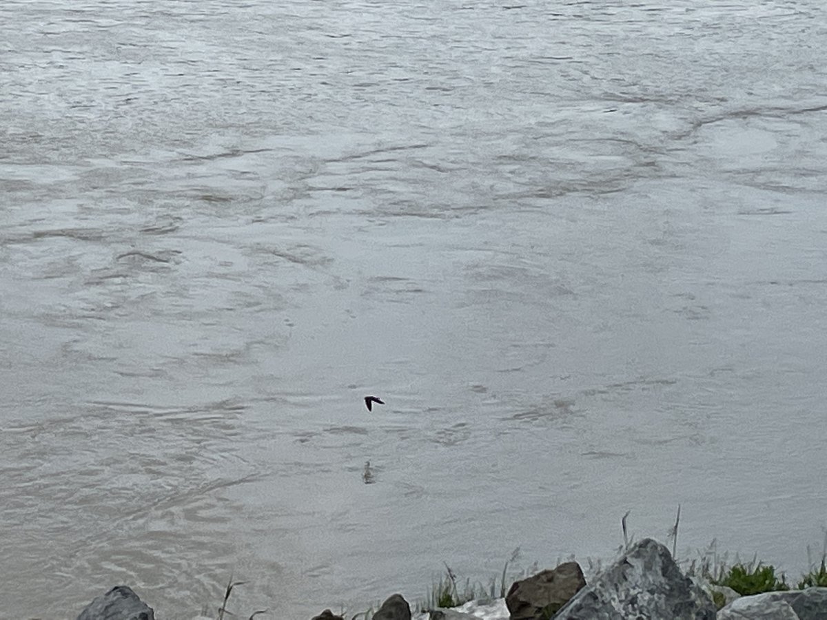 robin evans-agnew tweet media