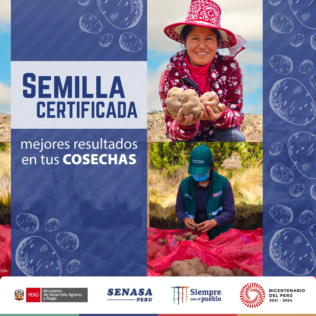 📈🥔¡Incrementa el rendimiento de tu producción y garantiza la sanidad de tus cultivos!
☝🏽🌱Tú, también puede producir semillas certificadas.
📝🔔Entérate todos los pasos visitando nuestro canal de YouTube: bit.ly/39nr9uF