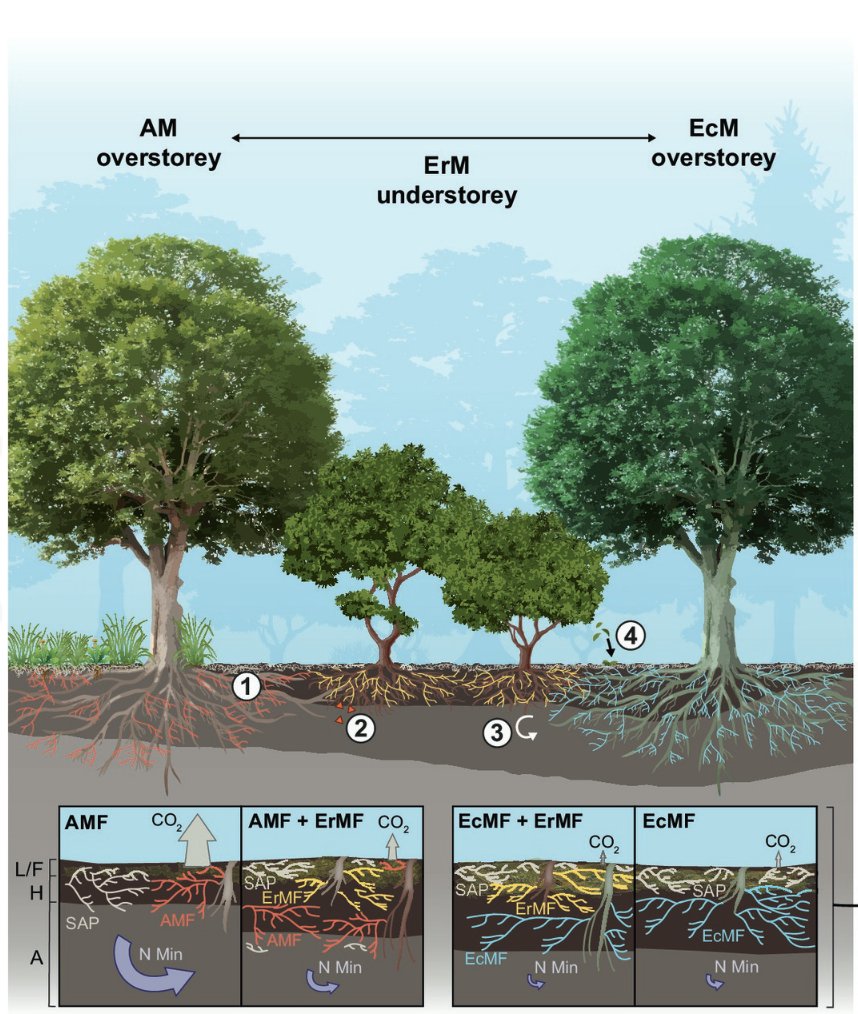 Eli Ward tweet media