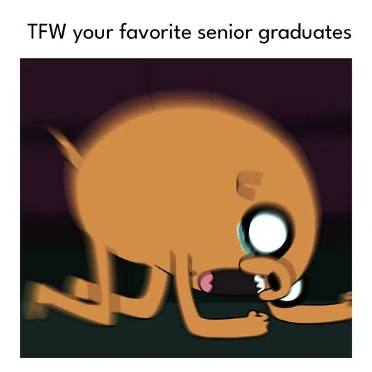 TechRowNYC's tweet photo. Watching everyone in the grade above you graduating? 
-
#graduation #graduationmeme #graduationmemes #education #highschool https://t.co/z27DRkHcyj