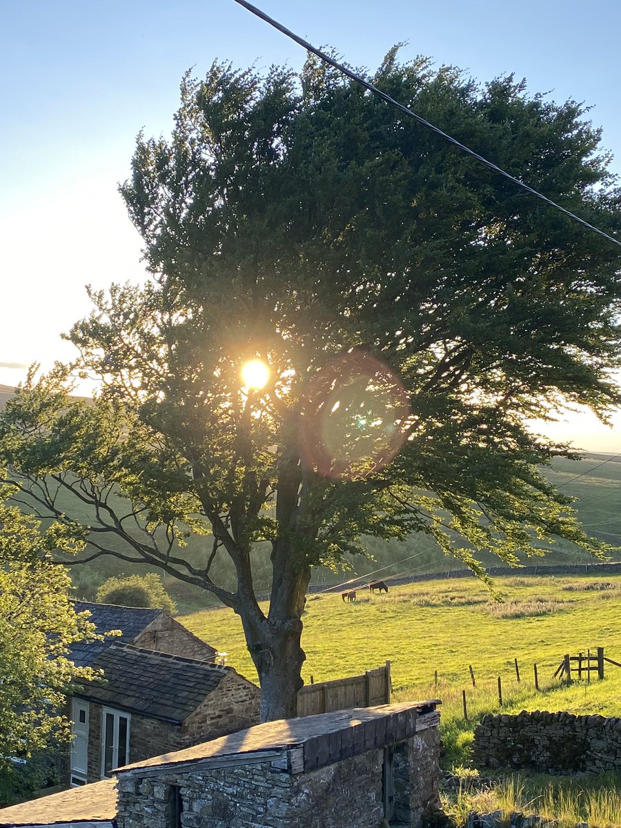 GRCAHA16's tweet photo. Gorgeous evening discovering beautiful #Carrshield, #Northumberland #England, #UK with @MXOFO https://t.co/wsoYlrZZk2