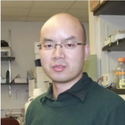 Elizabeth Chen (@echenlab) on Twitter photo Excited to share our paper on zebrafish myoblast fusion online in <a href="/Dev_Cell/">Developmental Cell</a>! In this work, we have identified the cellular architecture and molecular determinants of the zebrafish fusogenic synapse. Congrats to Zhou Luo, Jun Shi, and all the co-authors! authors.elsevier.com/a/1fFTb5Sx5gq6… Excited to share our paper on zebrafish myoblast fusion online in <a href="/Dev_Cell/">Developmental Cell</a>! In this work, we have identified the cellular architecture and molecular determinants of the zebrafish fusogenic synapse. Congrats to Zhou Luo, Jun Shi, and all the co-authors! authors.elsevier.com/a/1fFTb5Sx5gq6…