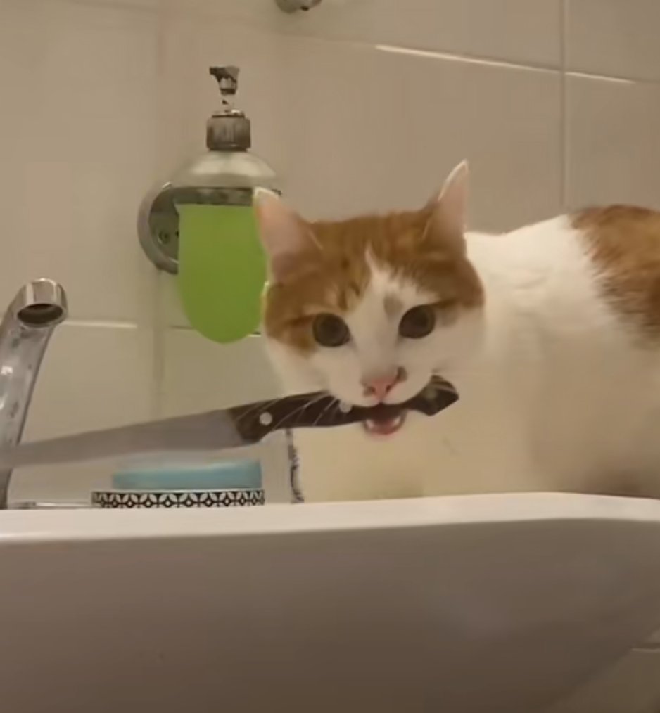 #alicebatwoman #Batwoman #rachelskarsten