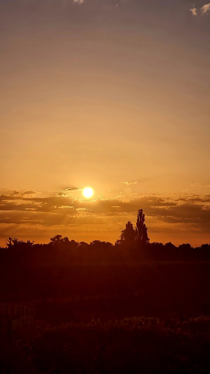 Séverine tweet media